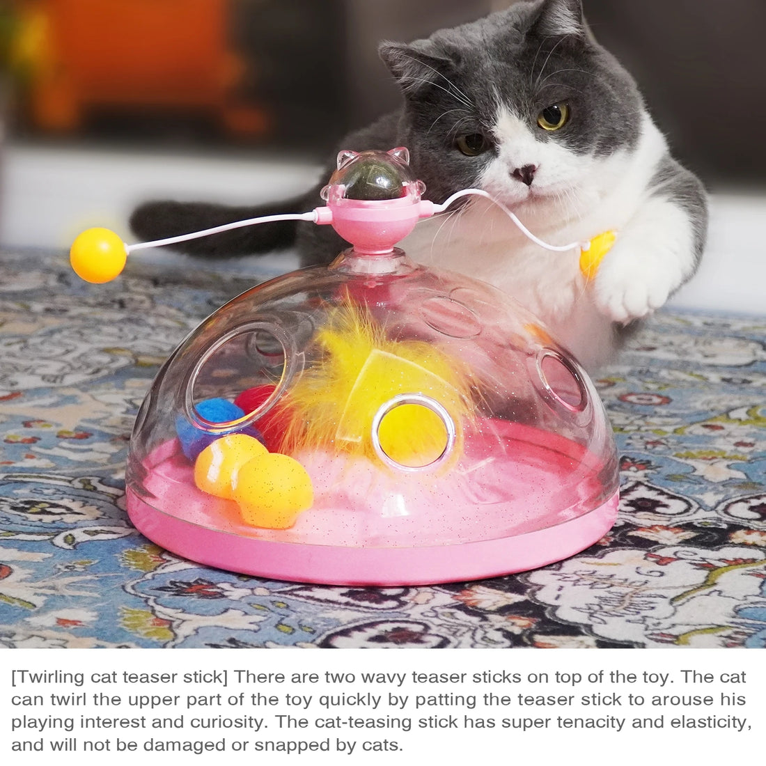 Cat Treasure Chest Toy – 4-in-1 Interactive Puzzle