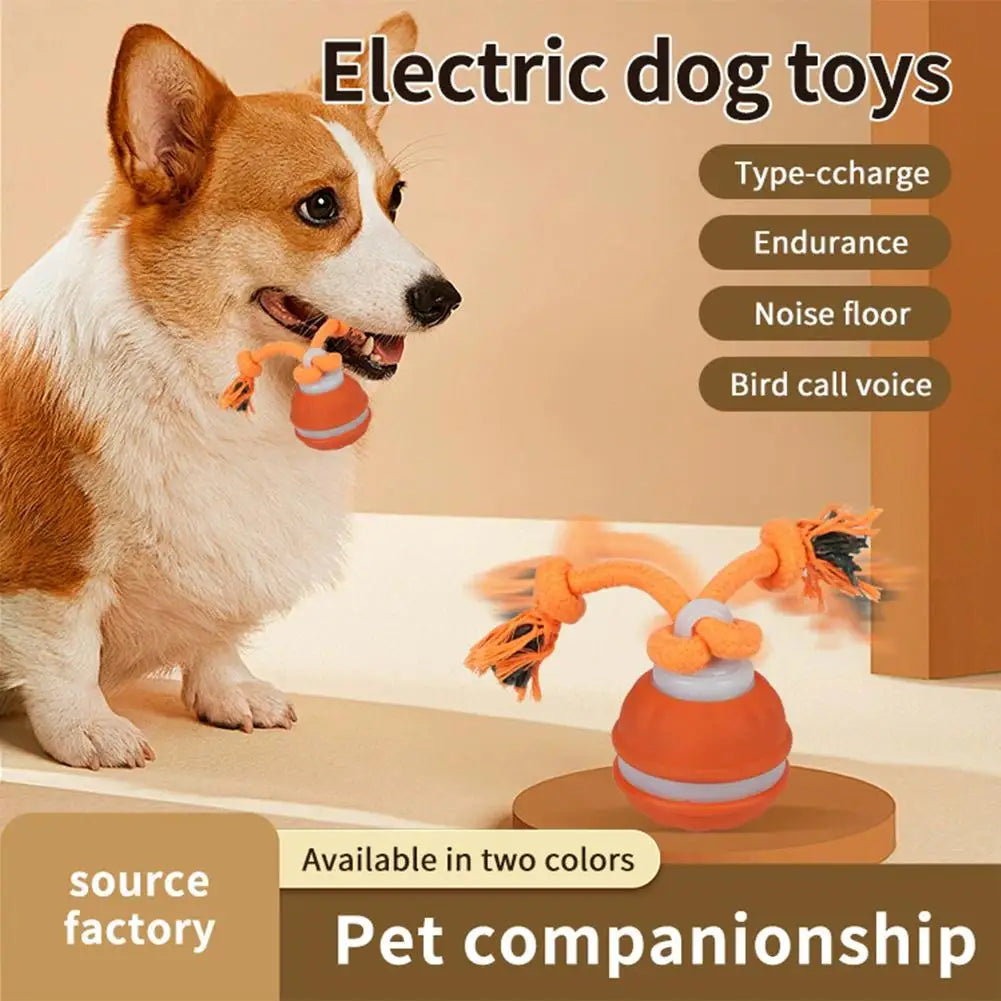 Smart Dog Toy Ball – Motion-Activated & USB Rechargeable