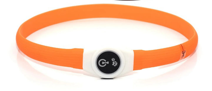 LED Dog Collar – USB Rechargeable & Waterproof