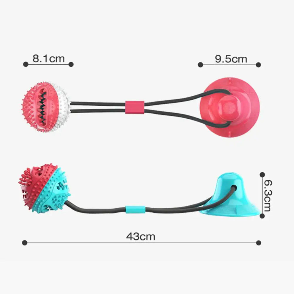 Suction Cup Dog Chew Toy