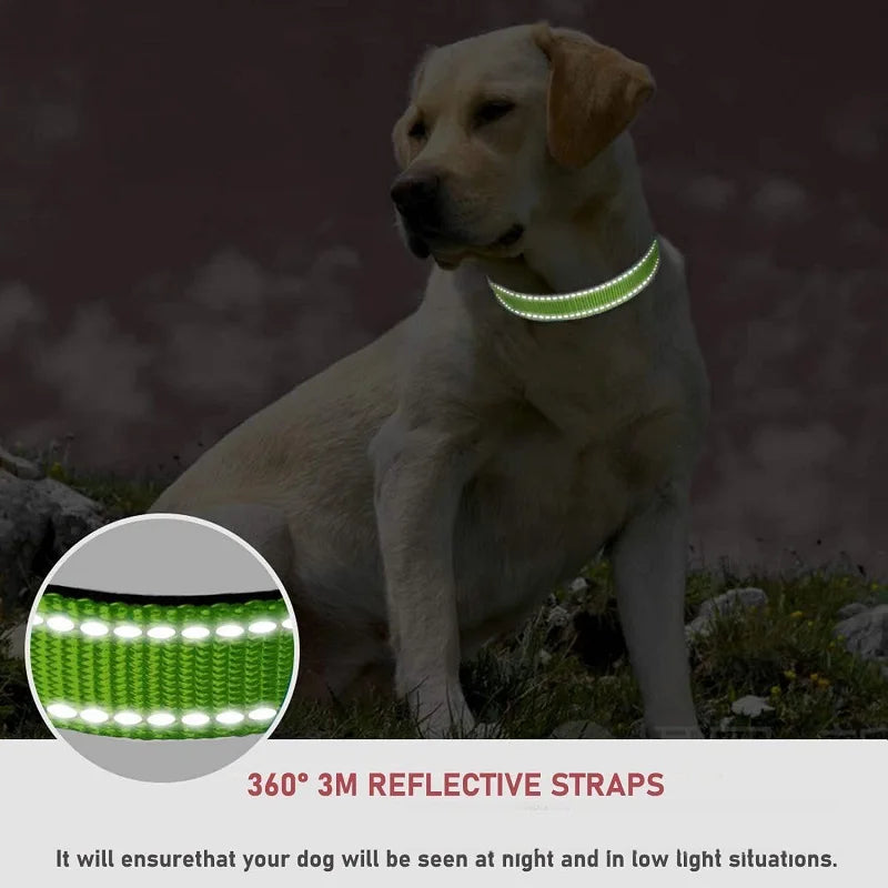 Decorative Nylon Dog Collar – Quick Release & Adjustable