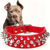 Studded Leather Dog Collar – Spiked & Adjustable