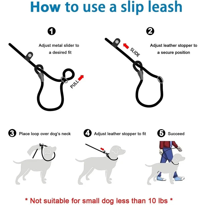 Dog Training P Leash – Heavy-Duty Anti-Pull with Comfort Grip