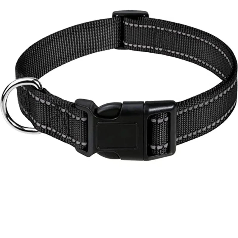 Decorative Nylon Dog Collar – Quick Release & Adjustable