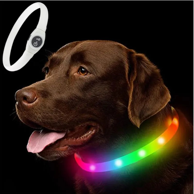 LED Dog Collar – USB Rechargeable & Waterproof