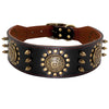 Spiked Leather Dog Collar – Heavy Duty & Adjustable