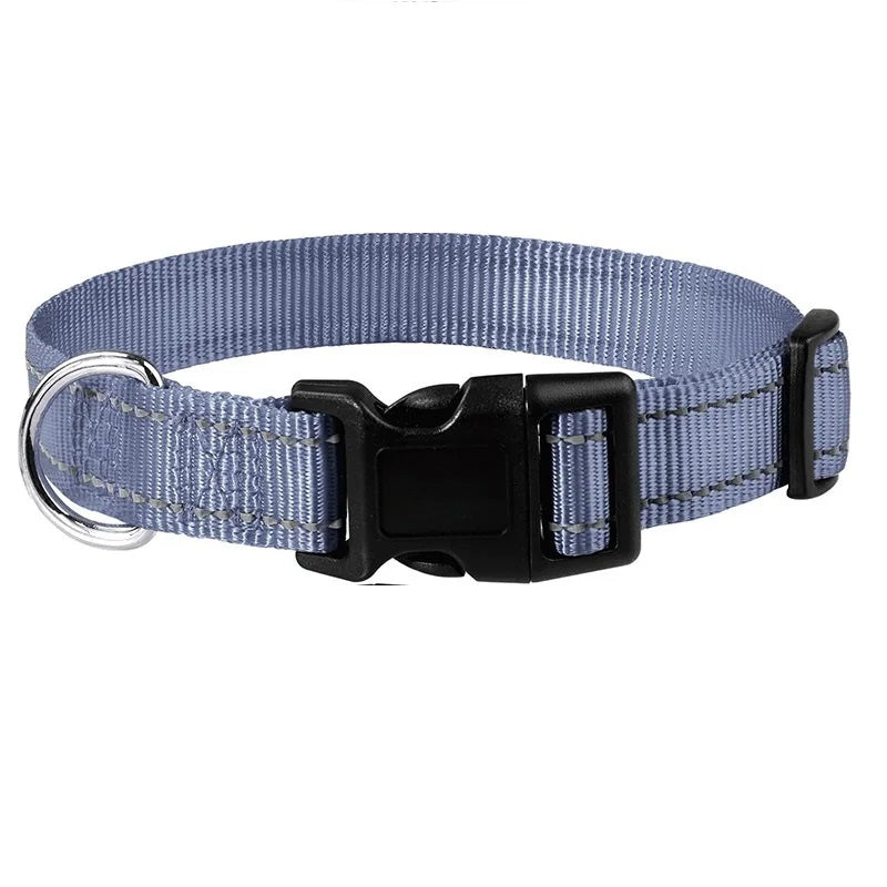 Decorative Nylon Dog Collar – Quick Release & Adjustable