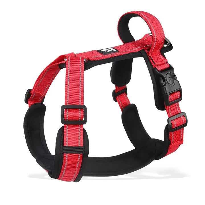 Dog Harness & Leash Set – Adjustable & Breathable No-Pull