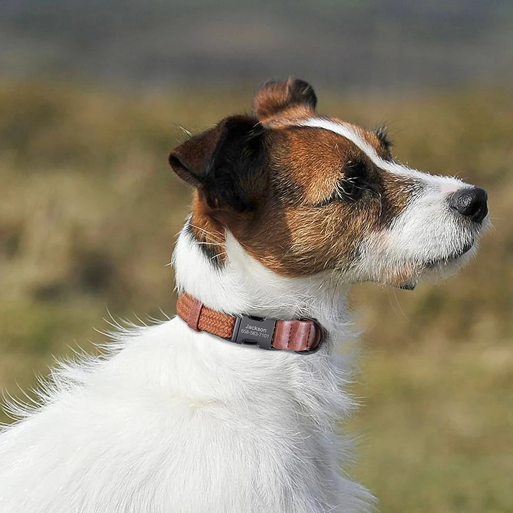 Custom Dog Collar – Free Engraved & Adjustable