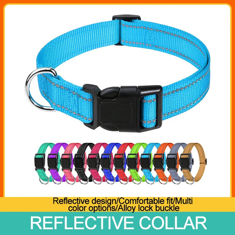Decorative Nylon Dog Collar – Quick Release & Adjustable