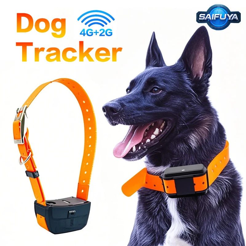 Hunting Dog GPS Tracker – Waterproof with Remote Training