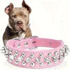 Studded Leather Dog Collar – Spiked & Adjustable
