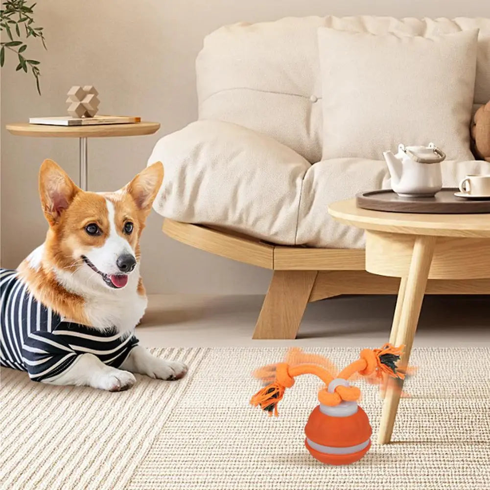 Smart Dog Toy Ball – Motion-Activated & USB Rechargeable
