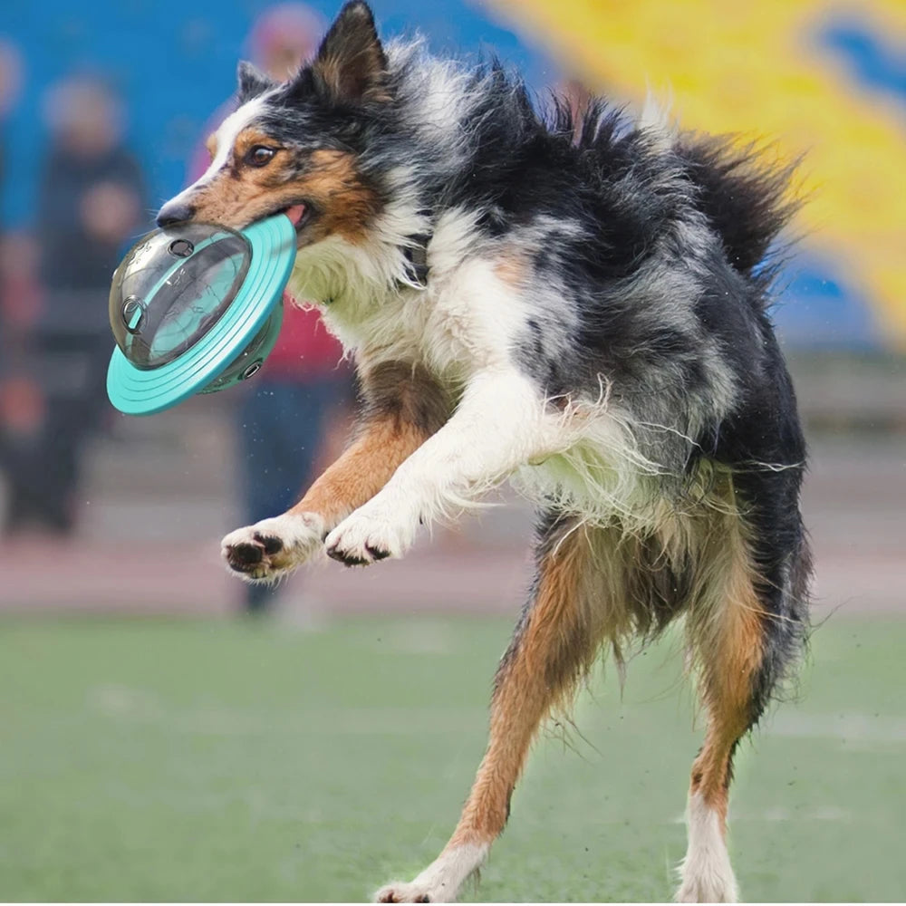 Treat Dispensing Flying Disc – Interactive Dog Toy for Outdoor Fetch & IQ Training