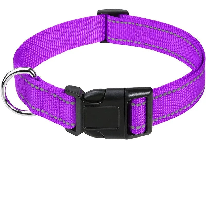 Decorative Nylon Dog Collar – Quick Release & Adjustable