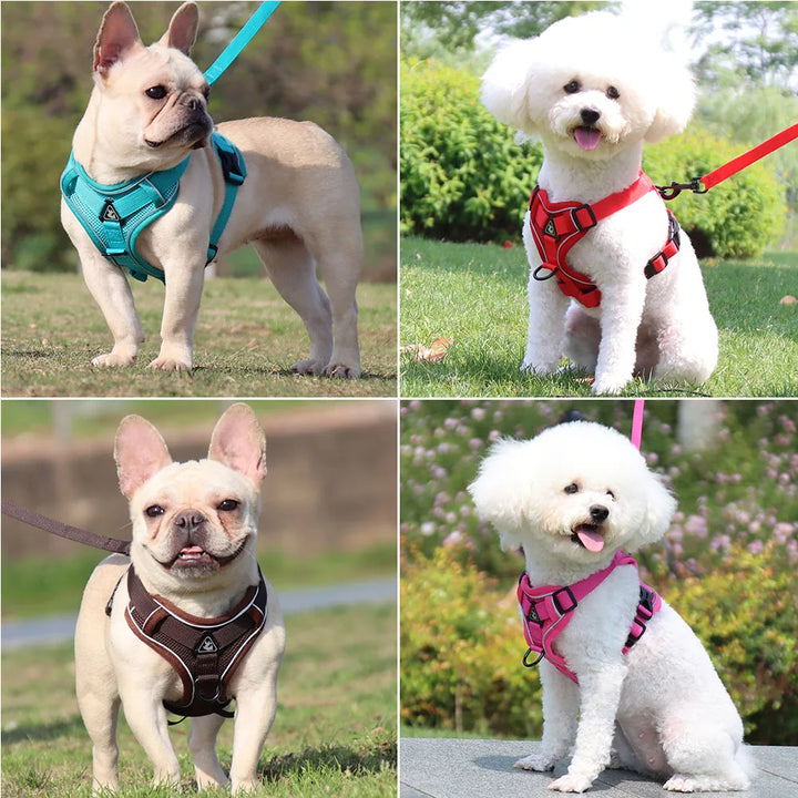 Harness & Leash Set – Reflective Padded Quick-Release