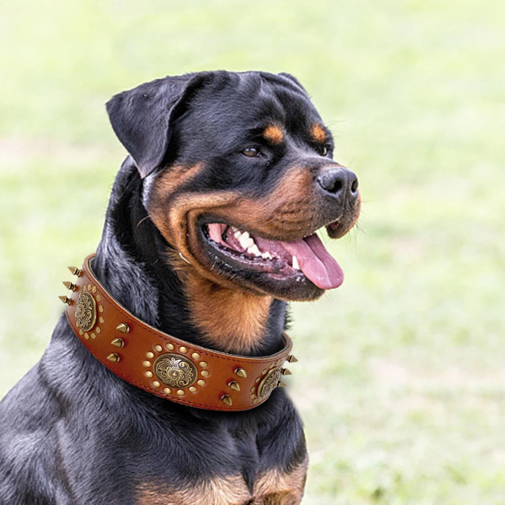 Spiked Leather Dog Collar – Heavy Duty & Adjustable