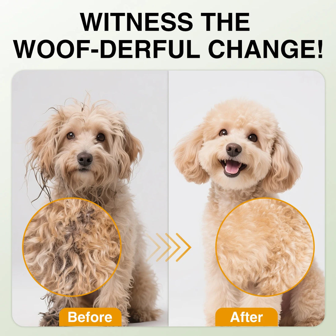Pet Shampoo – Natural Oatmeal & Aloe Vera