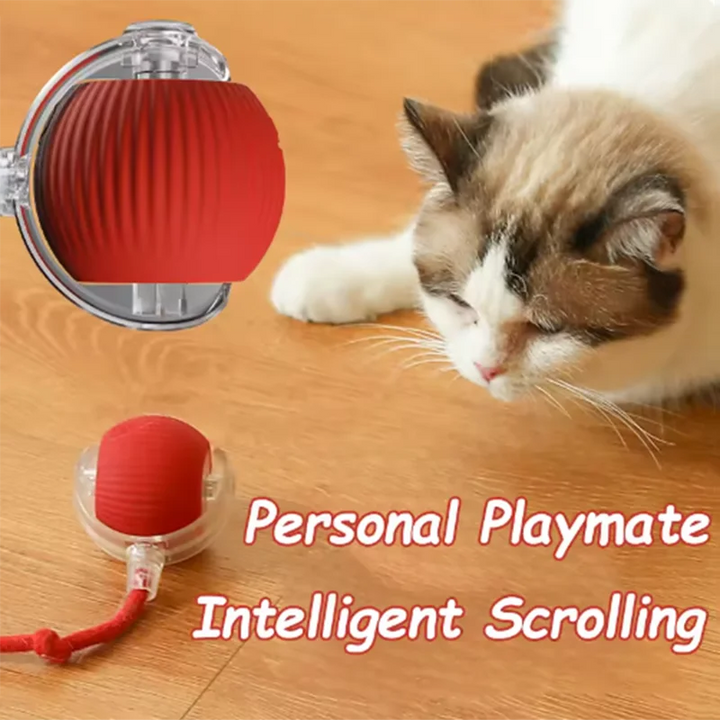 Automatic Interactive Cat Toy – Smart Rolling Ball with Tail