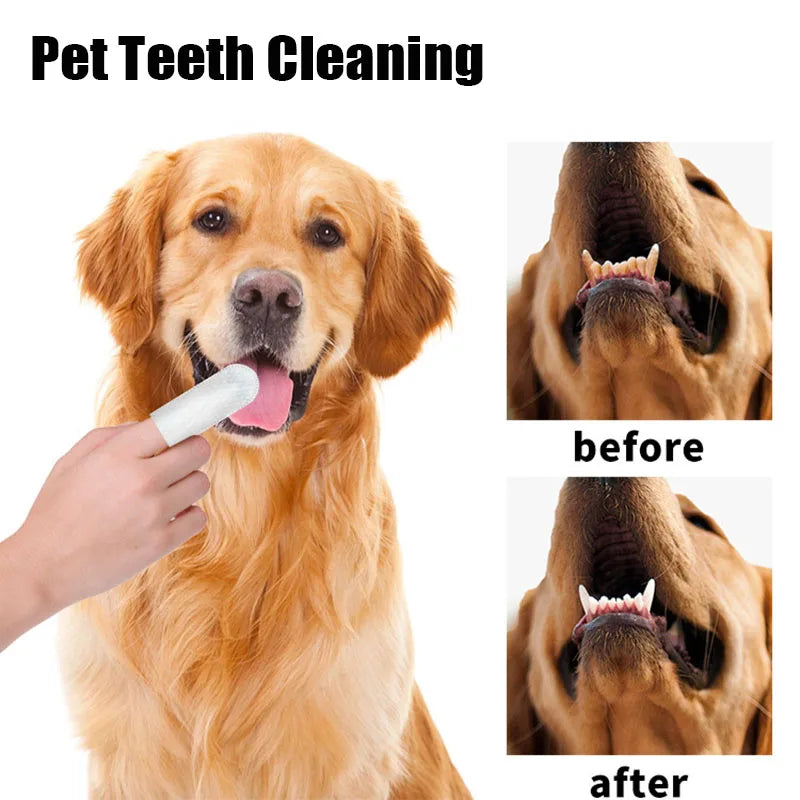 Pet Wipes – Teeth Cleaning & Tear Stain Remover