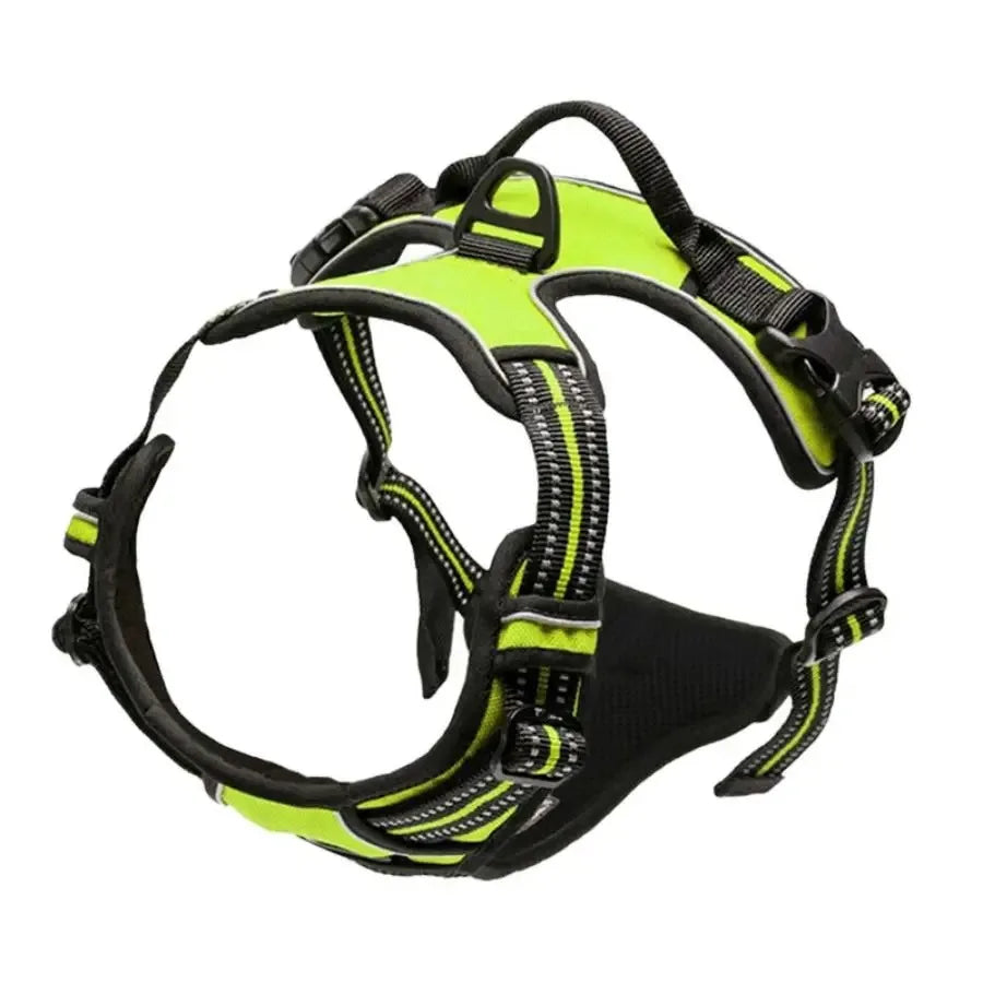 Leather Dog Harness Set – 3-in-1 with Leash