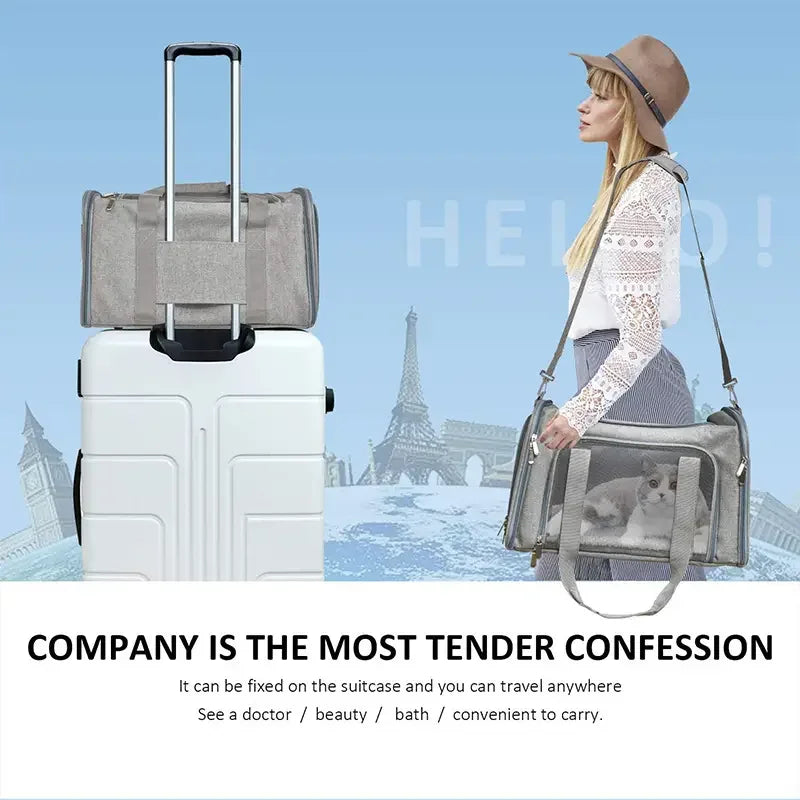 Airline Approved Pet Carrier – Soft-Sided & Breathable