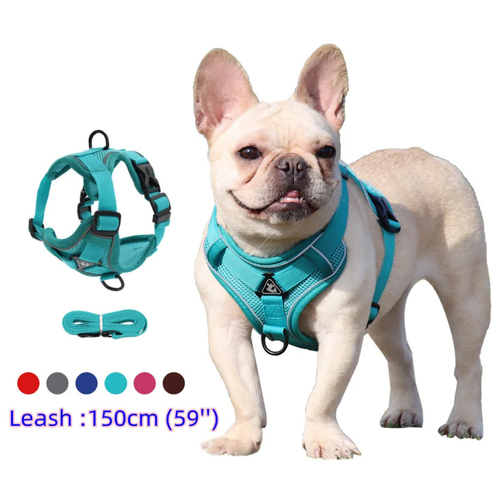 Harness & Leash Set – Reflective Padded Quick-Release