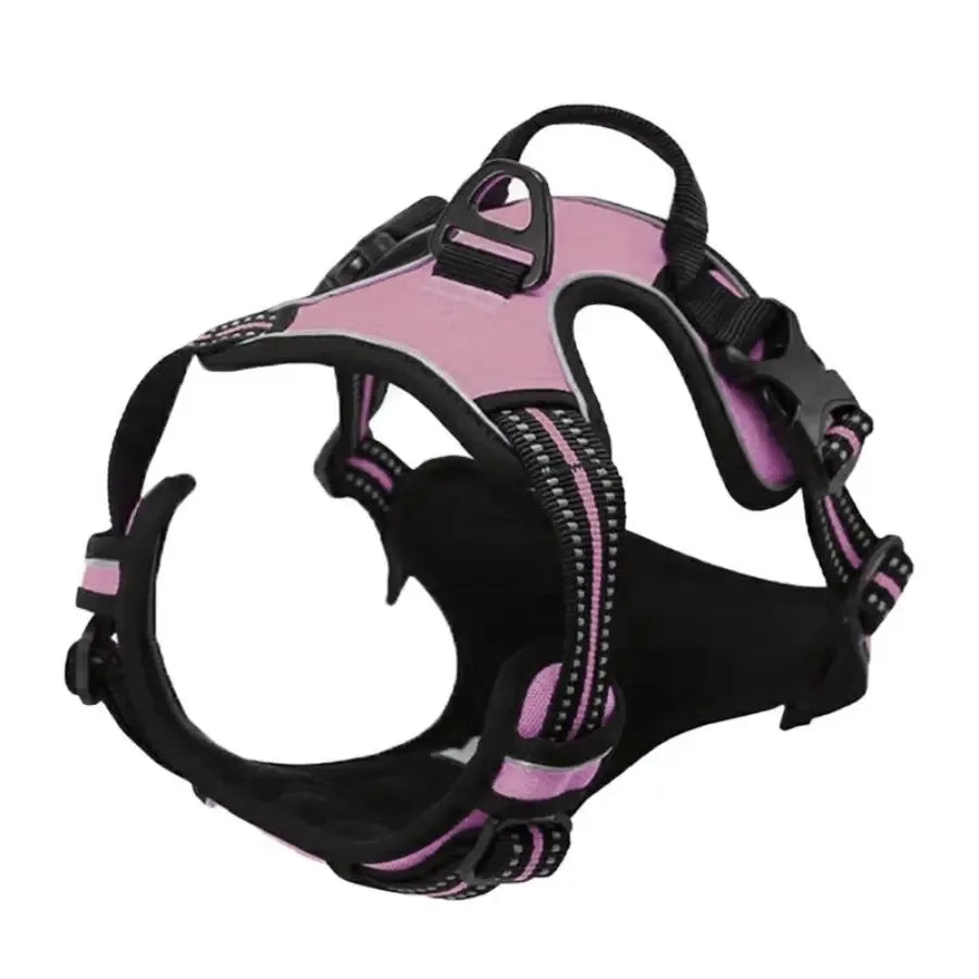 Leather Dog Harness Set – 3-in-1 with Leash