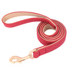 PU Leather Dog Leash – 120cm with Soft Padded Handle