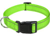 Decorative Nylon Dog Collar – Quick Release & Adjustable
