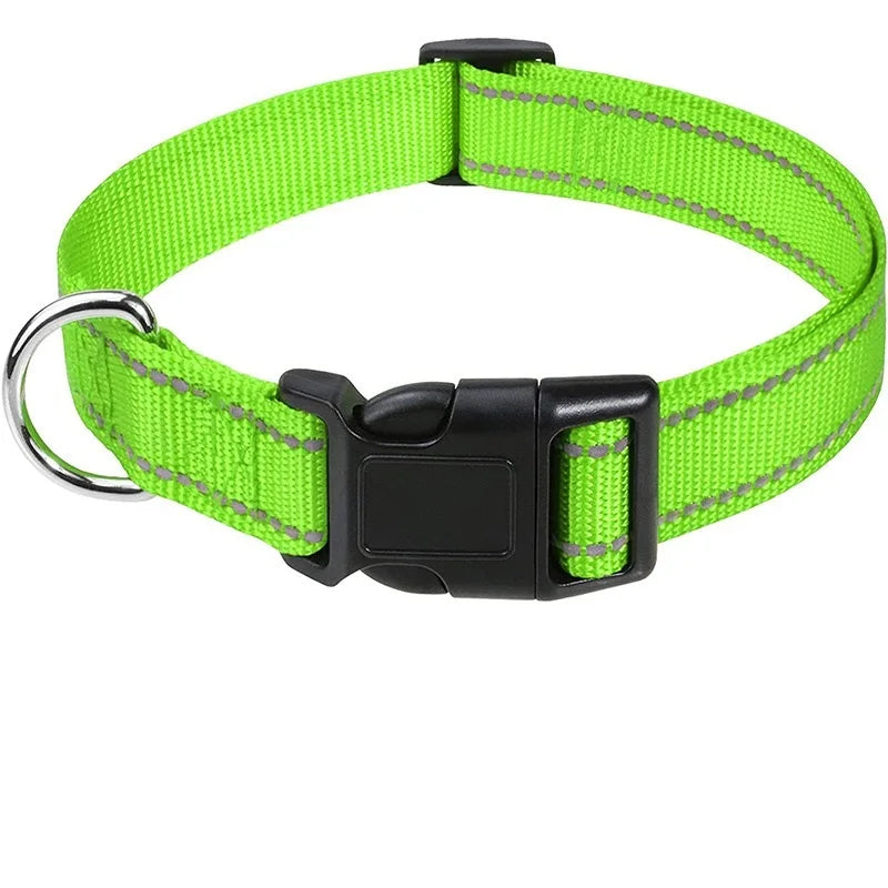 Decorative Nylon Dog Collar – Quick Release & Adjustable