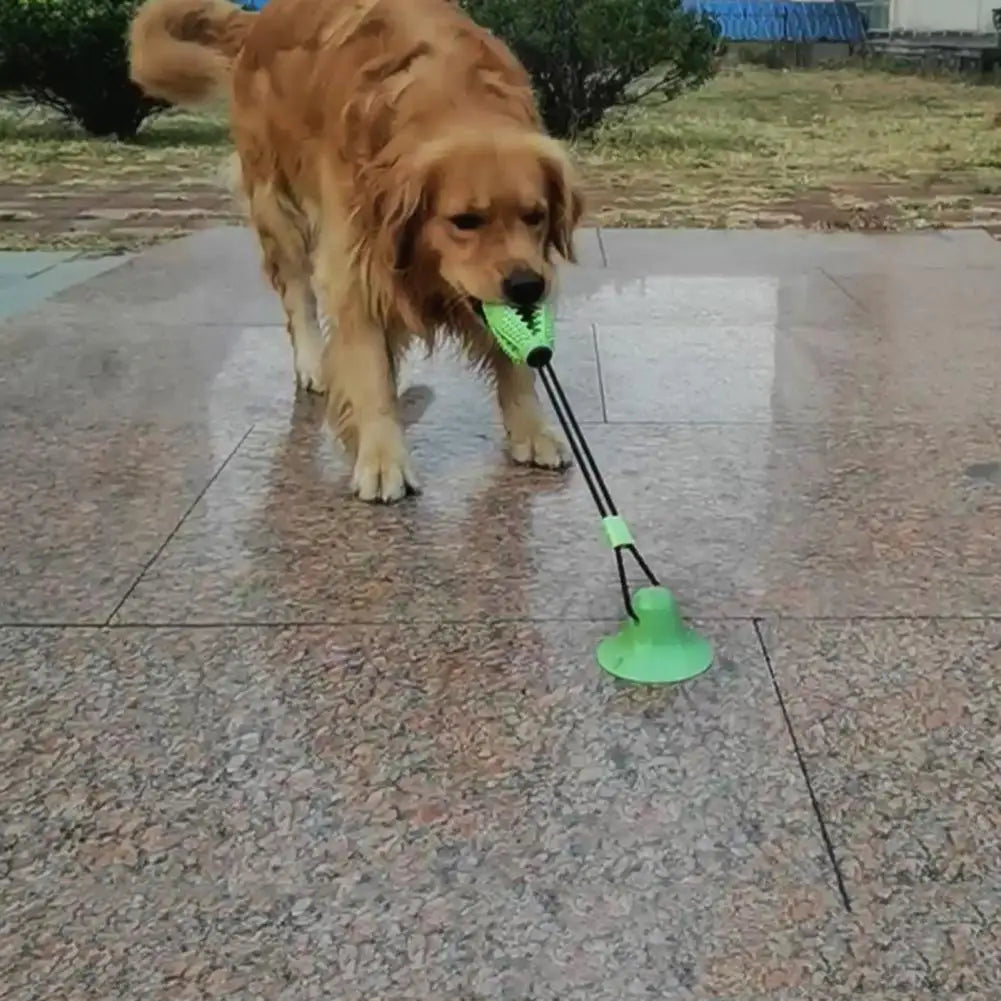 Suction Cup Dog Chew Toy