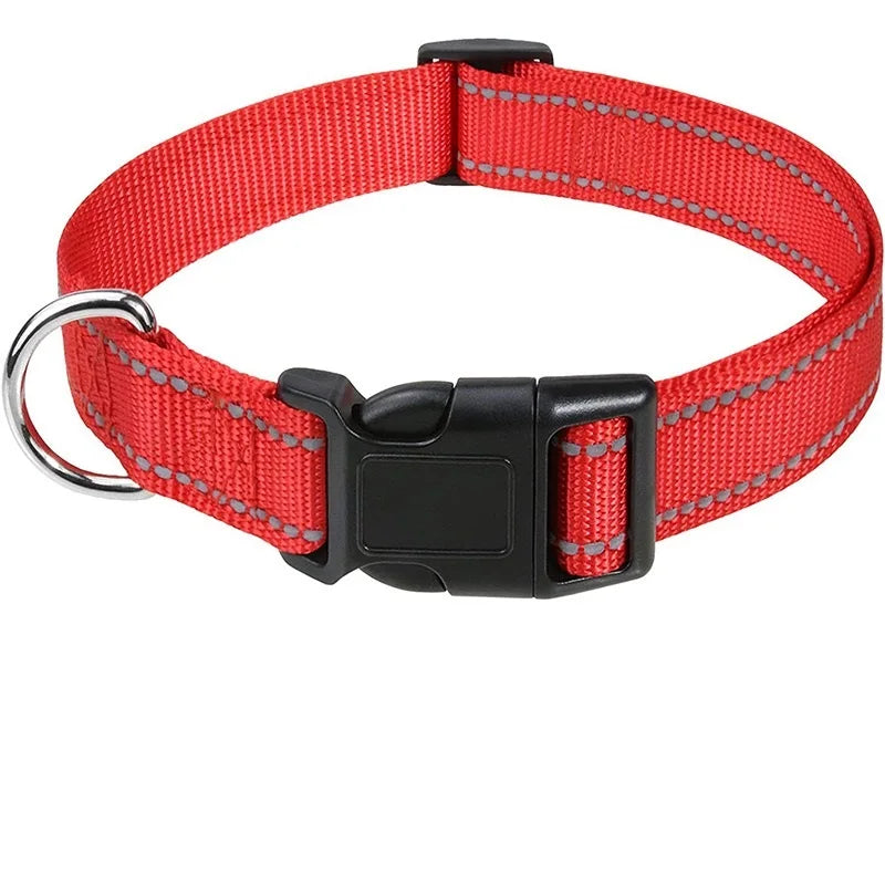 Decorative Nylon Dog Collar – Quick Release & Adjustable
