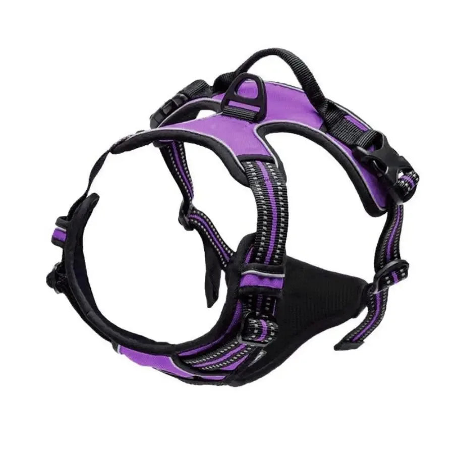 Leather Dog Harness Set – 3-in-1 with Leash