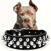 Studded Leather Dog Collar – Spiked & Adjustable