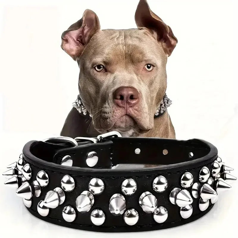 Studded Leather Dog Collar – Spiked & Adjustable