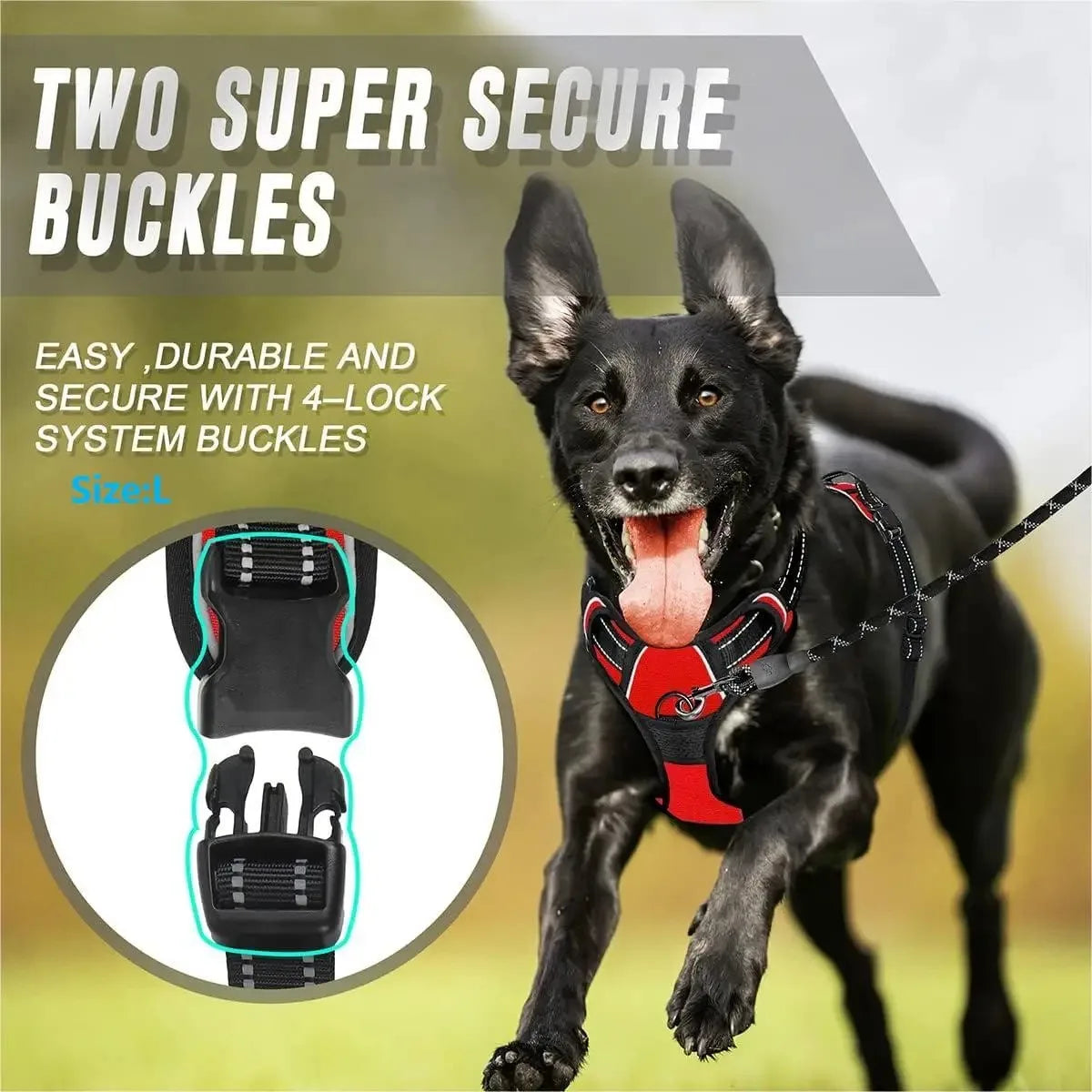 Leather Dog Harness Set – 3-in-1 with Leash