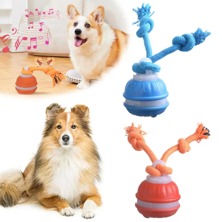 Smart Dog Toy Ball – Motion-Activated & USB Rechargeable