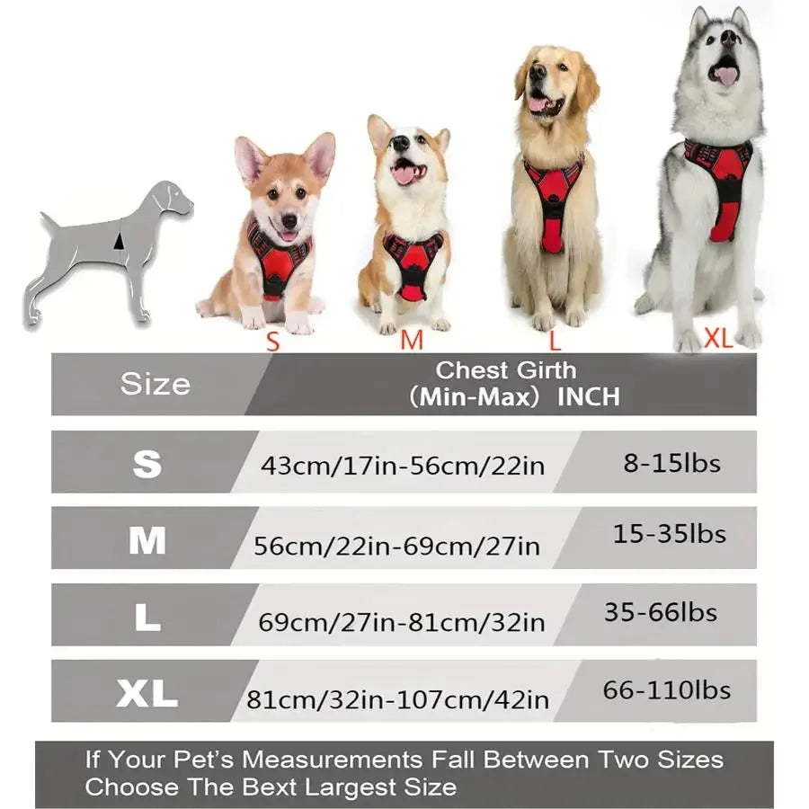 Leather Dog Harness Set – 3-in-1 with Leash