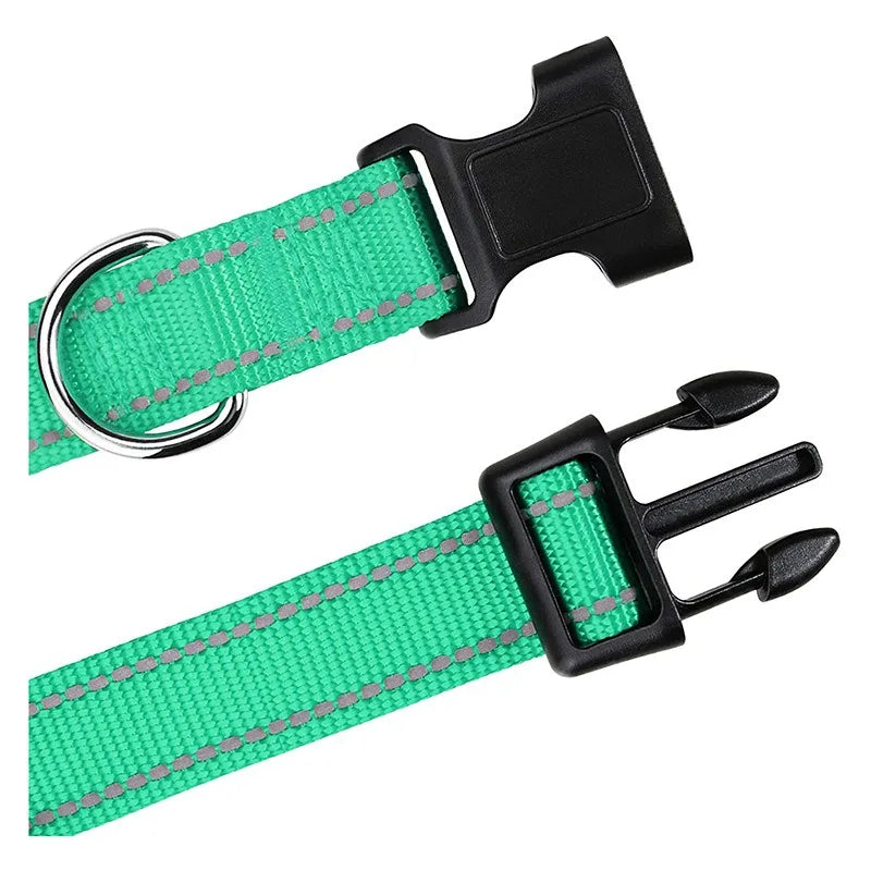 Decorative Nylon Dog Collar – Quick Release & Adjustable