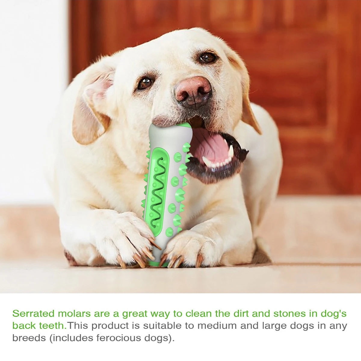 Dog Dental Chew Toy – Teeth Cleaning & Toothbrush Design