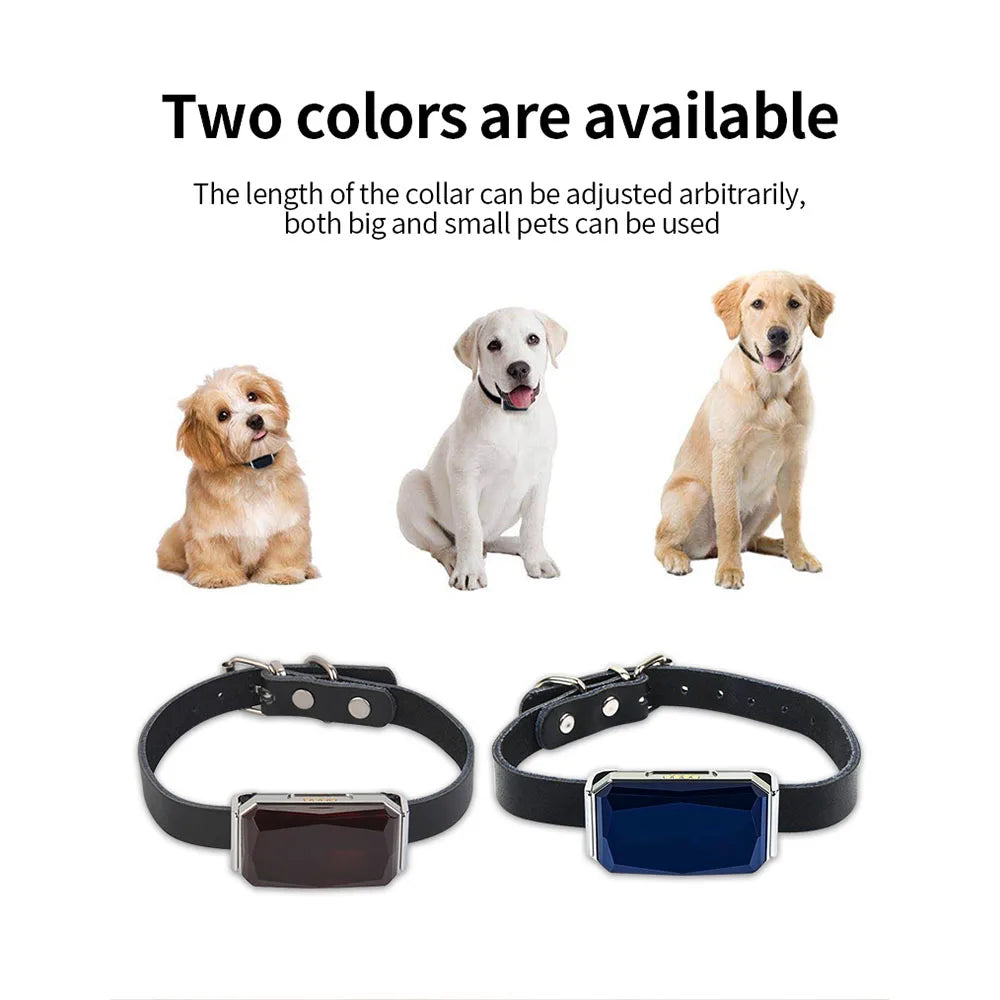 GPS Pet Tracker – Real-Time & IP67 Waterproof