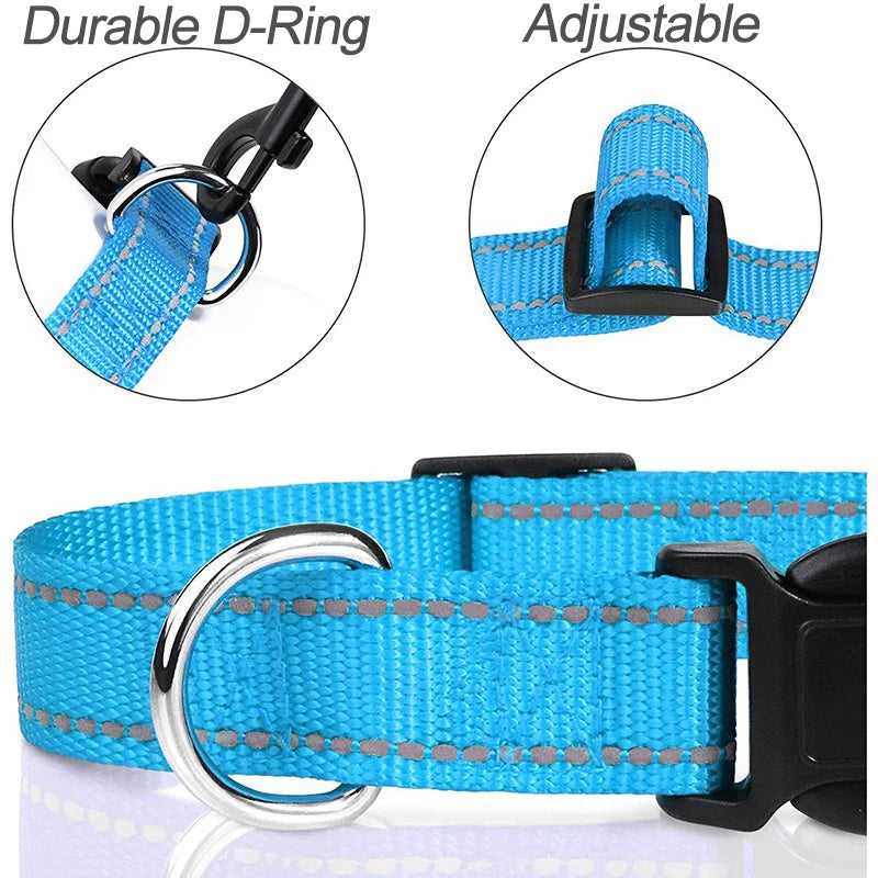 Decorative Nylon Dog Collar – Quick Release & Adjustable