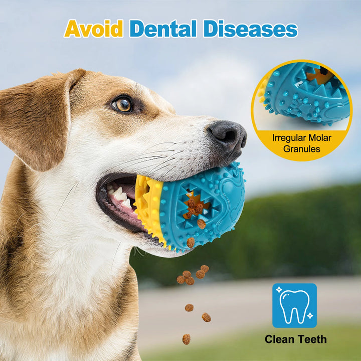 Dog Chew Ball Set – 4-in-1 Treat Dispensing & Cleaning