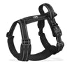 Dog Harness & Leash Set – Adjustable & Breathable No-Pull