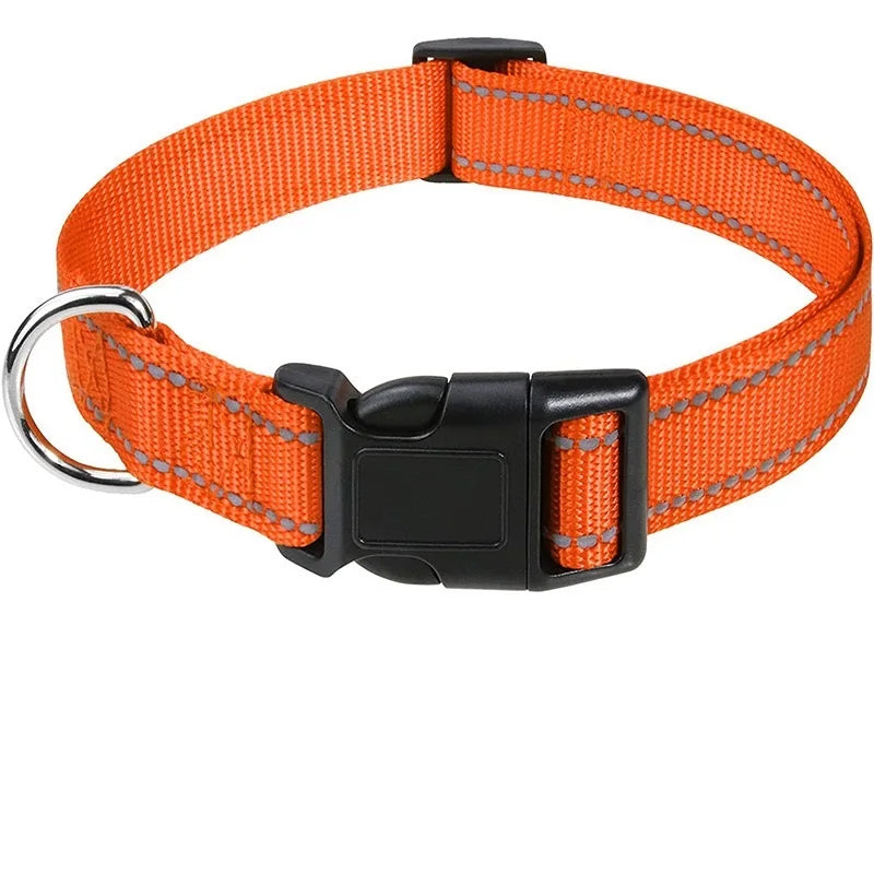 Decorative Nylon Dog Collar – Quick Release & Adjustable