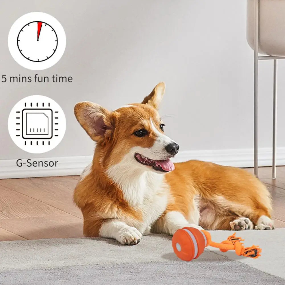 Smart Dog Toy Ball – Motion-Activated & USB Rechargeable