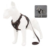 Harness & Leash Set – Reflective Padded Quick-Release