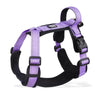 Dog Harness & Leash Set – Adjustable & Breathable No-Pull