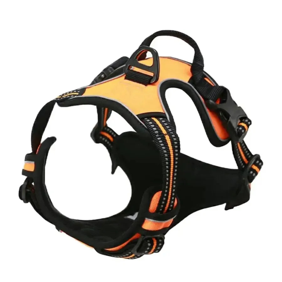 Leather Dog Harness Set – 3-in-1 with Leash